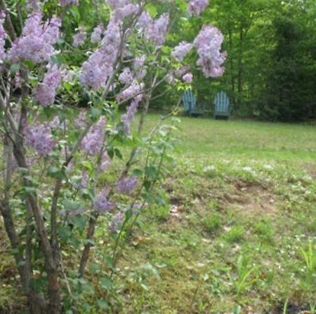Schroon Lake Tumble Inn المظهر الخارجي الصورة