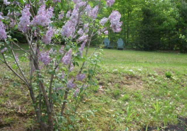Schroon Lake Tumble Inn المظهر الخارجي الصورة